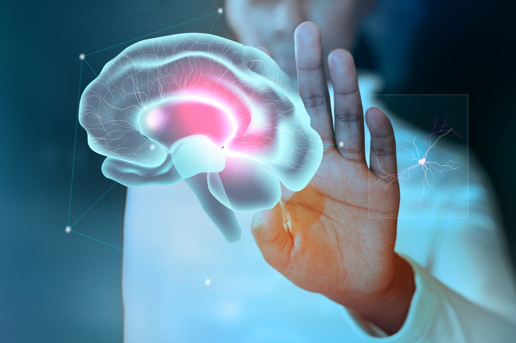 Cerebro iluminado junto a una mano: tácticas de neuroventas